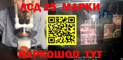 гидропоника Можга
