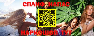 гидропоника Можга