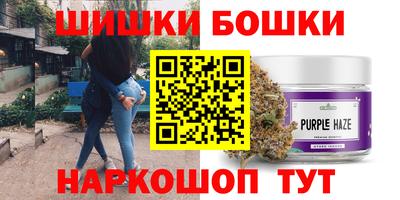 гидропоника Можга