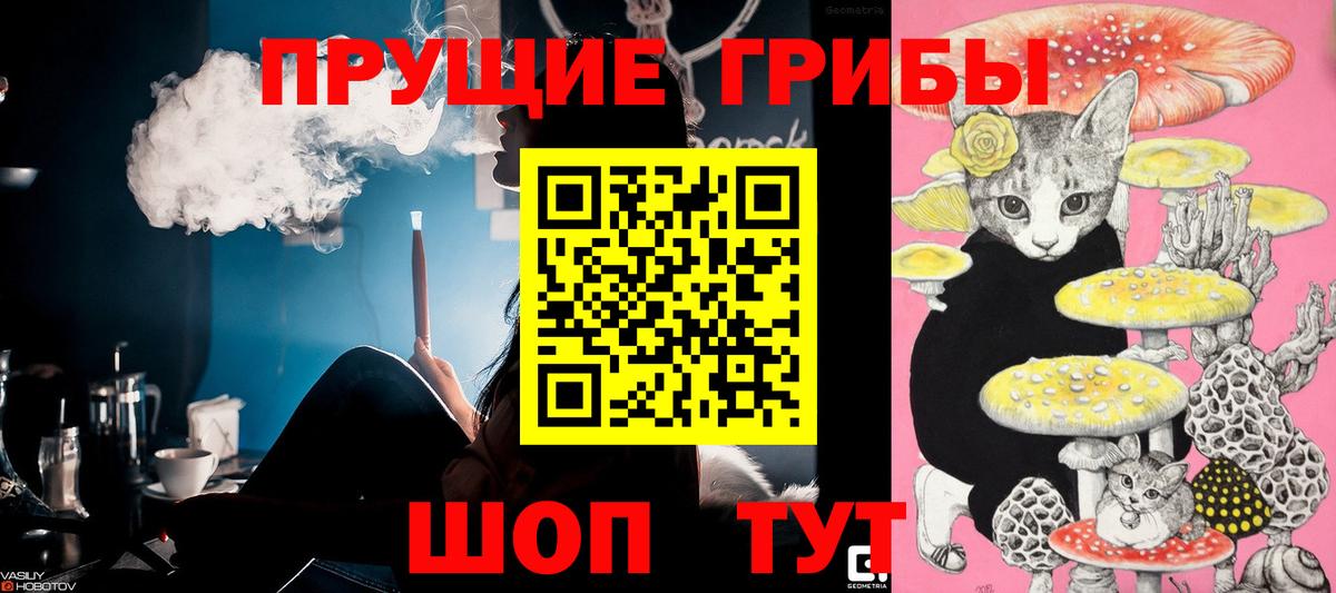 Псилоцибиновые грибы Psilocybine cubensis Ульяновск